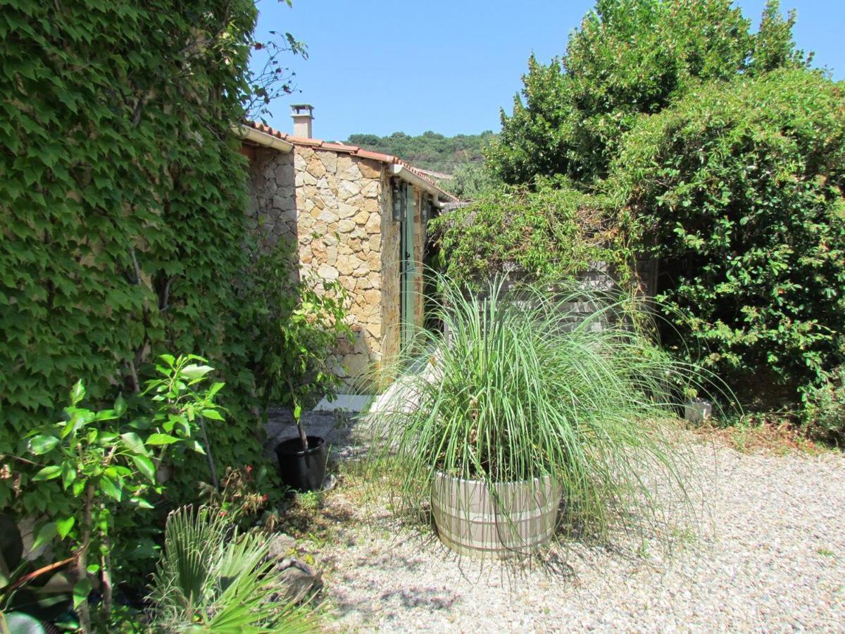 Chambre D'Hotes Des Oliviers La Roque-sur-Cèze Kültér fotó